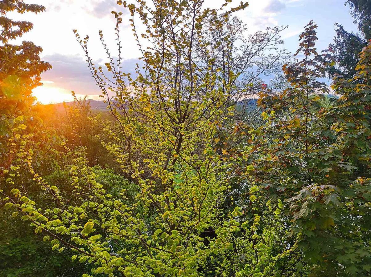 Apartmán Freiraum Küps Exteriér fotografie